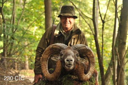 wta_2344_2015_16_Mouflon_230 CIC pts - 147 7--8 SCI pts - Gold Medal_Juan A. (1)