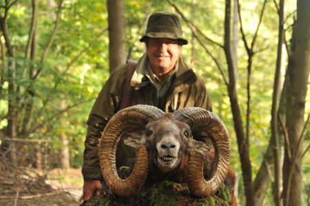 wta_2344_2015_16_Mouflon_230 CIC pts - 147 7--8 SCI pts - Gold Medal_Juan A. (1)