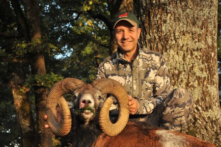wta_2344_2015_20_Mouflon_222 CIC pts - 144 SCI pts- Gold Medal_Juan R.