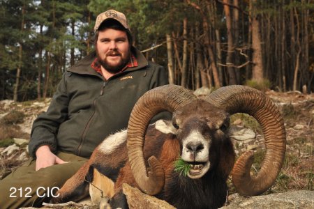 wta_2344_2015_33_Mouflon_212 CIC pts - 133 1--8 - Gold Medal_Duncan F. (1)