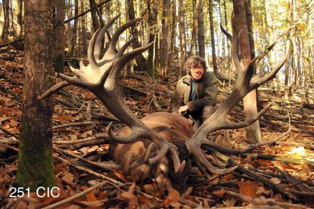 wta_2344_2015_37_Red Stag_251 CIC pts - 444 1--8 SCI pts - Gold Medal_Didier RR