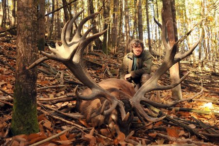 wta_2344_2015_37_Red Stag_251 CIC pts - 444 1--8 SCI pts - Gold Medal_Didier RR