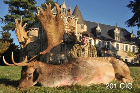 wta_2344_2016_10_Fallow Deer_201 CIC pts - 272 2_8 SCI pts - Gol Medal_Jerome P.
