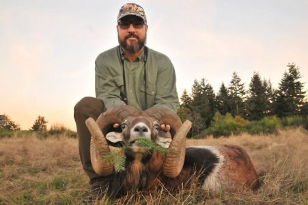 wta_2344_2016_22_Mouflon_210 CIC pts - 138 3_8 SCI pts - Gold Medal_Marcos S.