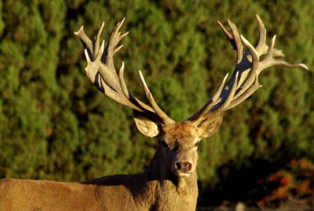 wta_2344_the-game-red-deer-3