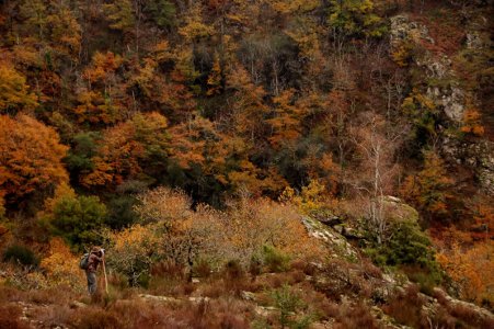 wta_2344_where-we-hunt-1
