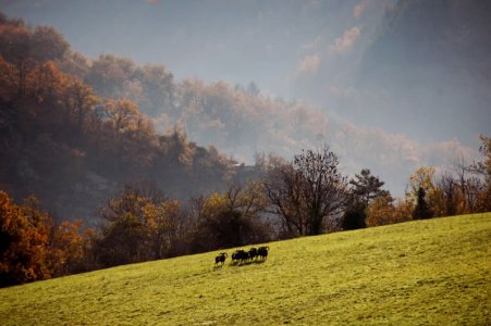 wta_2344_where-we-hunt-2