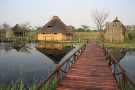 wta_2348_Kwando 4