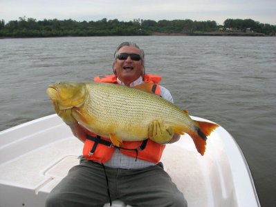 wta_2354_dorado4