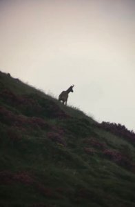 wta_2356_PHOTO-2023-09-14-10-34-44 2