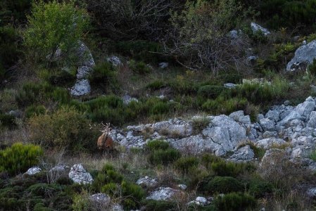 wta_2356_PHOTO-2023-09-14-13-53-11 15