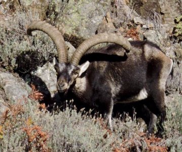 wta_2358_PHOTO-2023-09-14-10-28-10 2