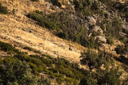 wta_2358_PHOTO-2023-09-14-10-28-13