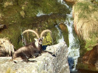 wta_2358_PHOTO-2023-09-14-10-28-14 2