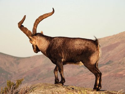 wta_2358_PHOTO-2023-09-14-10-28-16