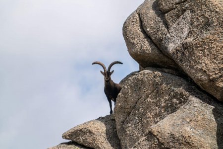 wta_2358_PHOTO-2023-09-14-10-28-20