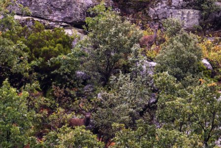 wta_2358_PHOTO-2023-09-14-10-43-32 2