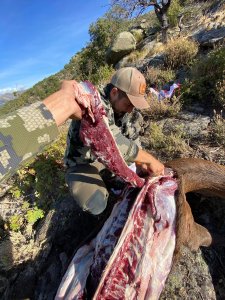 wta_2358_PHOTO-2023-09-14-10-43-38