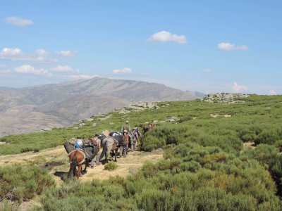 wta_2358_PHOTO-2023-09-14-10-43-39 2