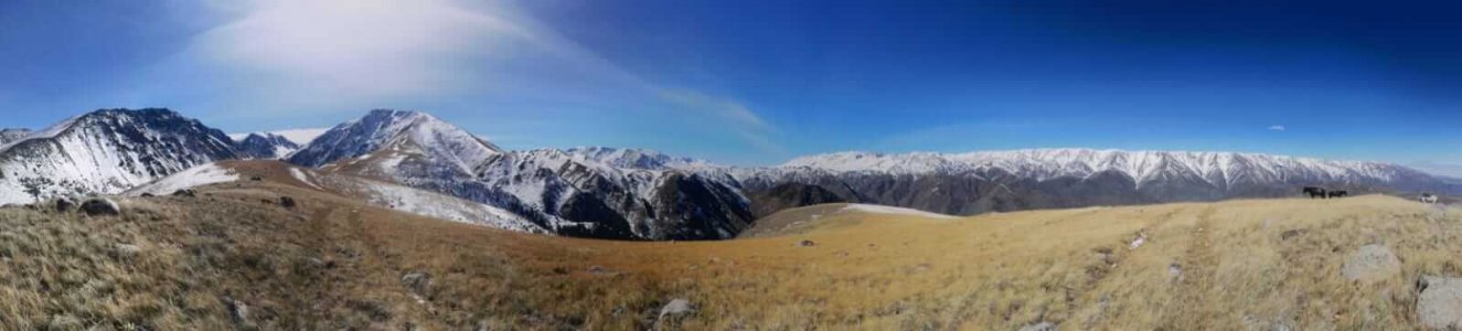 wta_2366_37453cf6-85e4-4140-9ba4-a4e939e914dd