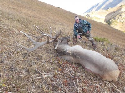 wta_2366_a0d57153-51a2-4b12-85f3-f3119d747951