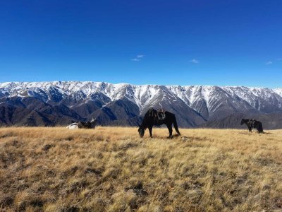 wta_2366_be9a87a2-8a94-4308-8f86-6bf935a2f3bd