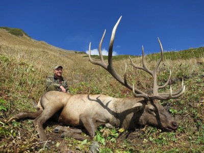 wta_2366_ee71c15e-3239-465f-a83e-042a1d373132