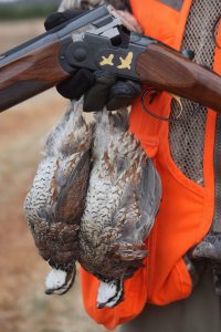 wta_2378_two quail in hand with shotgun