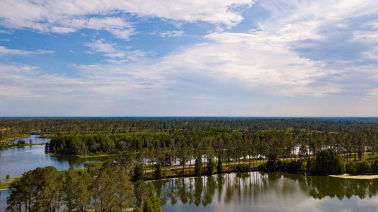 wta_2382_0162_Flordia Alligators SOA_Photos_Rousey_LR Select_421