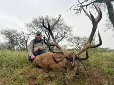 wta_2384_free-range-red-stag-hunting-la-pampa-image-6-1024x768