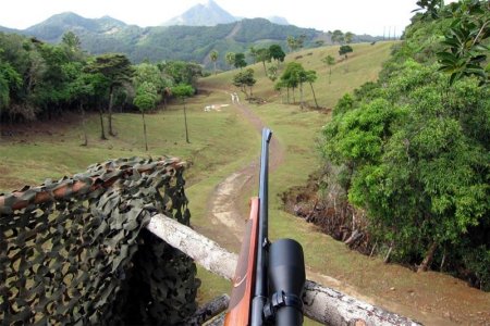 wta_2398_Mauritius41
