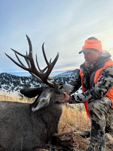 Rifle mule deer hunting Colorado