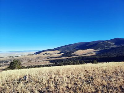 wta_2408_Mule-deer-colorado-unit-80