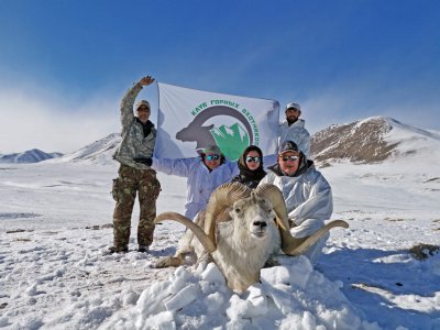 wta_2412_Argali-1