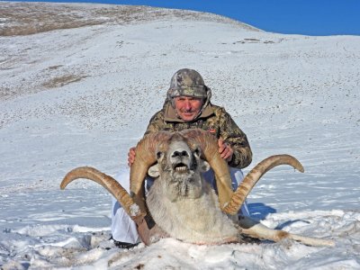 wta_2412_Argali Albert-1