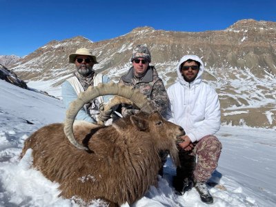 wta_2412_Mazur Ibex