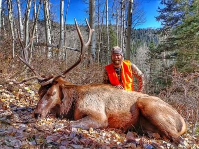 Southern Colorado Drop Camp Elk Hunt