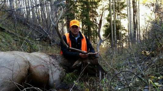 Southern Colorado Drop camp