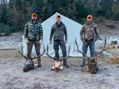 Southern Colorado Drop Camp Elk Hunt
