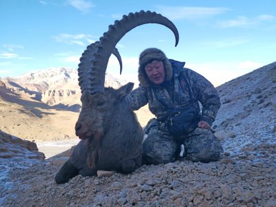 wta_2419_Ibex-5