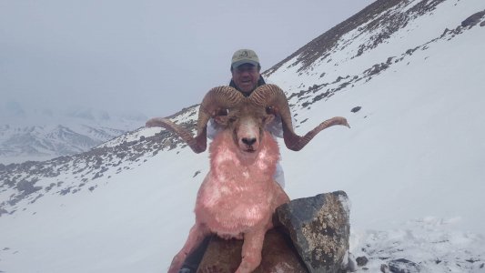wta_2420_Tian Shan (1)