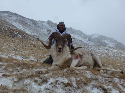 wta_2420_Tian Shan (2)