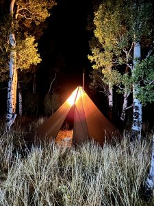 wta_2426_camp.jpg