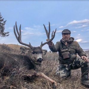 wta_2451_JB mule deer