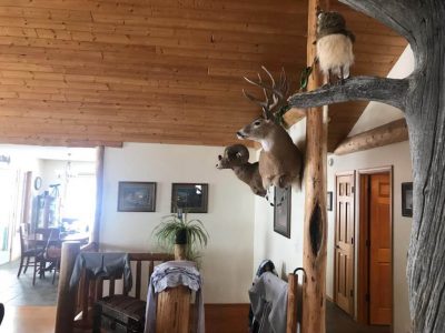 wta_2451_Lodge 3