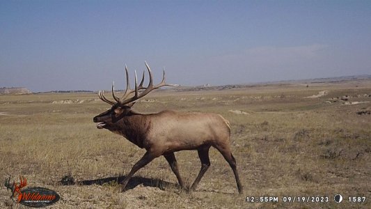 wta_2460_20230923135438
