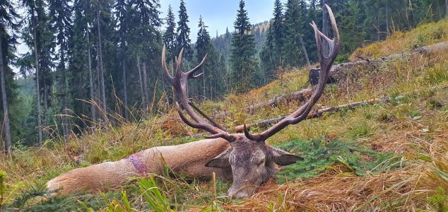 wta_2463_20210921_073529