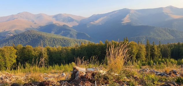 wta_2463_20210927_081533