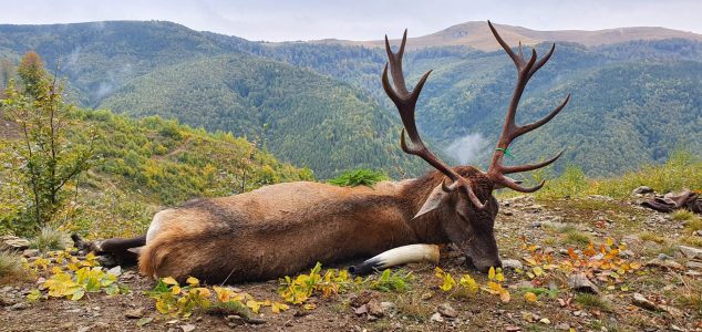 wta_2463_20210930_090549