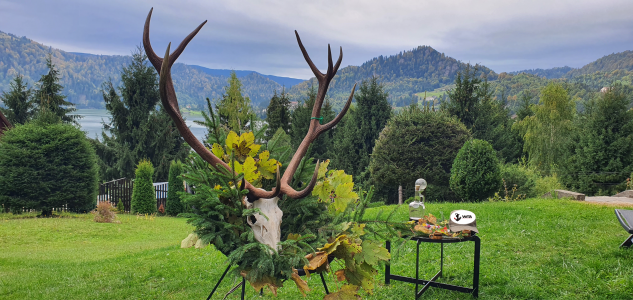 wta_2463_20220926_143302